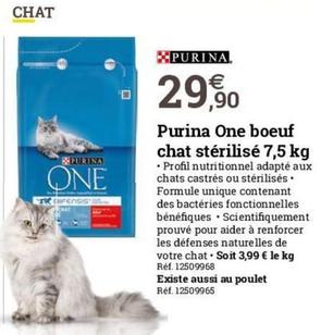 croquettes pour chats