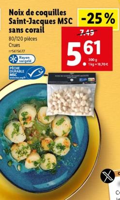 Noix De Coquilles Saint Jacques Msc Sans Corail