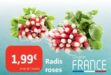 Radis - Roses offre à 1,99€ sur Colruyt