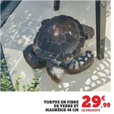 Tortue En Fibre De Verre Et Magnésie 48 Cm offre à 29,99€ sur Hyper U
