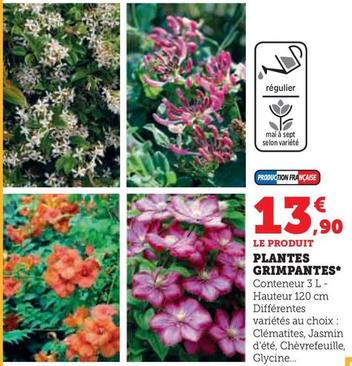 Plantes Grimpantes  offre à 13,9€ sur Super U