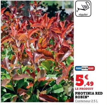 Photinia Red Robin  offre à 5,49€ sur Super U