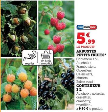 Arbustes Petits Fruits* offre à 5,99€ sur Super U