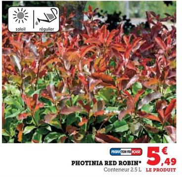 Le Jardin - Photinia Red Robin  offre à 5,49€ sur Super U
