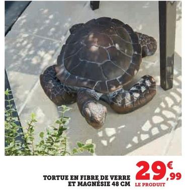 Tortue En Fibre De Verre Et Magnésie offre à 29,99€ sur U Express