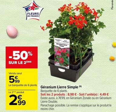 Fleurs offre sur Carrefour Market