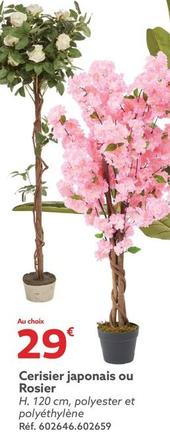 Cerisier Japonais Ou Rosier offre à 29€ sur Gifi