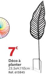 Déco À Planter offre à 7€ sur Gifi