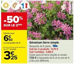 Fleurs offre sur Carrefour