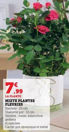 Mixte Plantes Fleuries offre à 7,99€ sur Super U