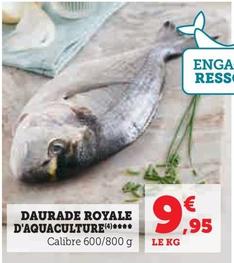 Daurade Royale D'Aquaculture  offre à 9,95€ sur Super U