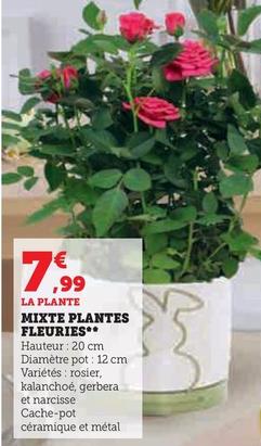 Mixte Plantes Fleuries offre à 7,99€ sur Super U