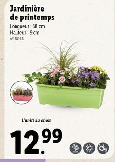 Jardinière De Printemps offre à 12,99€ sur Lidl