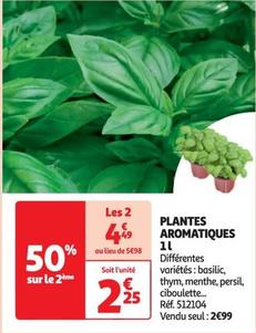 plantes aromatiques