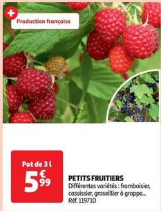 petits fruitiers