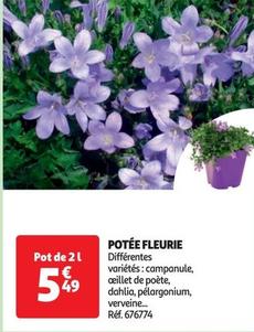 potée fleurie