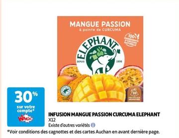 Infusion Mangue Passion Curcuma Elephant