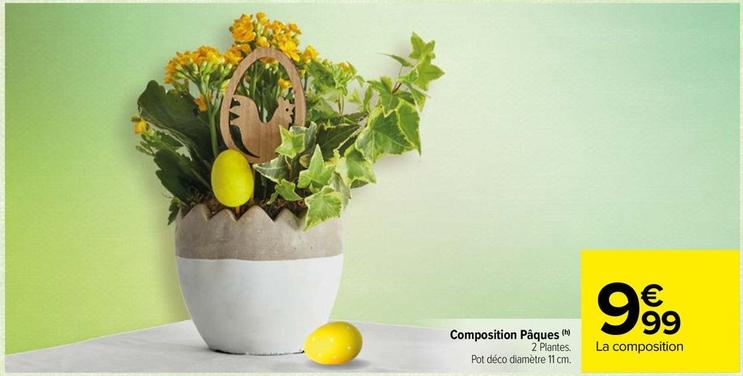 Plantes à fleurs offre sur Carrefour Contact