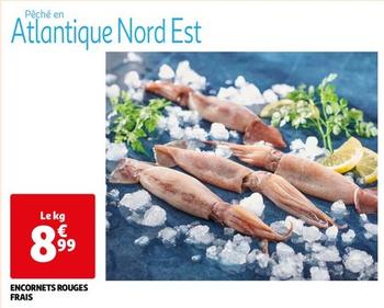 Encornets Rouges Frais offre à 8,99€ sur Auchan Hypermarché