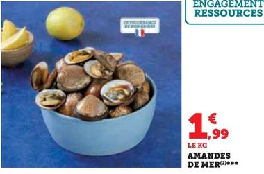 Amandes De Mer