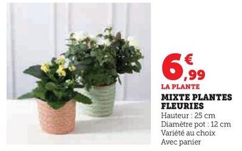 Mixte Plantes Fleuries