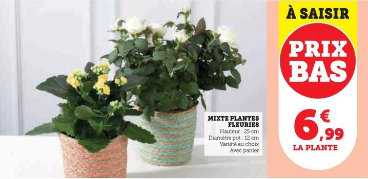 Mixte Plantes Fleuries