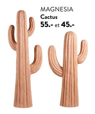 Magnesia - Cactus offre à 45€ sur Casa