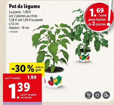 pot de légume