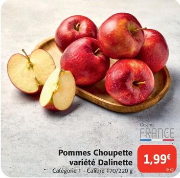 Pommes Choupette Variete Dalinette