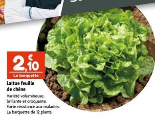 Salades offre à 2,1€ sur Point Vert