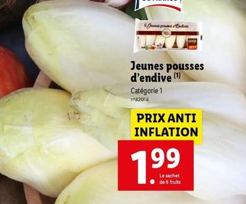 Jeunes Pousses D'endive