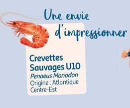 crevettes