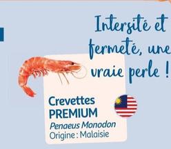 crevettes