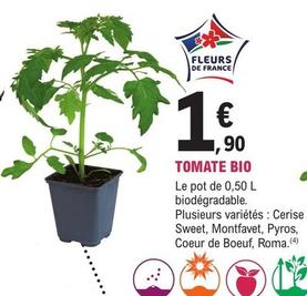 Plantes offre à 1,9€ sur E.Leclerc Jardi
