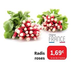 Radis Roses offre à 1,69€ sur Colruyt