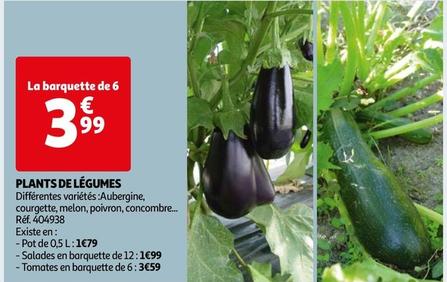 Plantes De Legumes  offre à 3,99€ sur Auchan Hypermarché