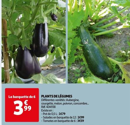 Plants De Légumes offre à 3,99€ sur Auchan Hypermarché