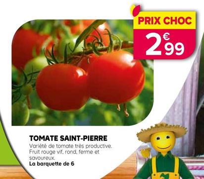 Tomate Saint Pierre offre à 2,99€ sur Kiriel