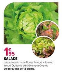 Salade offre à 1,95€ sur Kiriel