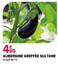Aubergine Greffée Sultane offre à 4,99€ sur Kiriel