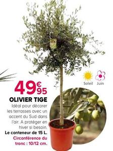 Plantes offre à 49,95€ sur Kiriel