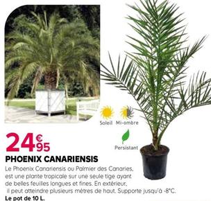 Plantes offre à 24,95€ sur Kiriel