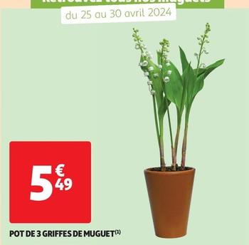 Pot De 3 Griffes De Muguet offre à 5,49€ sur Auchan Supermarché