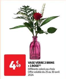 Vase Verre 2 Brins +1 Rose