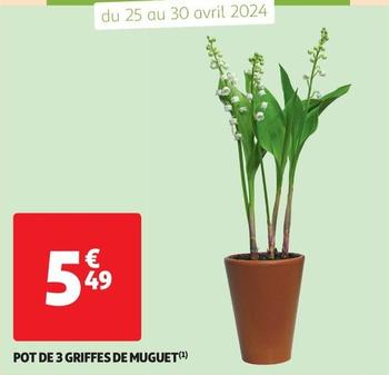 Pot De 3 Griffes De Muguet offre à 5,49€ sur Auchan Supermarché