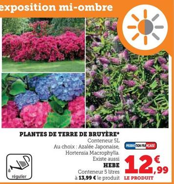 Plantes De Terre De Bruyère offre à 12,99€ sur Hyper U