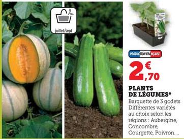 Plants De Légumes offre à 2,7€ sur Hyper U
