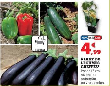 Plant De Légumes Greffés offre à 4,99€ sur Hyper U