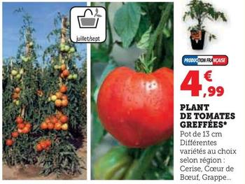 Plant De Tomates Greffées offre à 4,99€ sur Hyper U