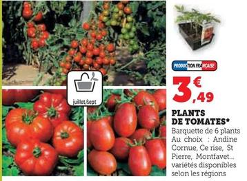 Plants De Tomates offre à 3,49€ sur Hyper U